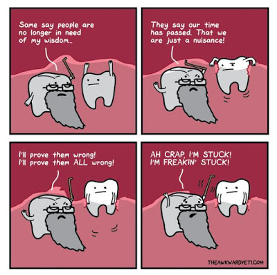 Wisdom Teeth in Prince George - Accent Dental